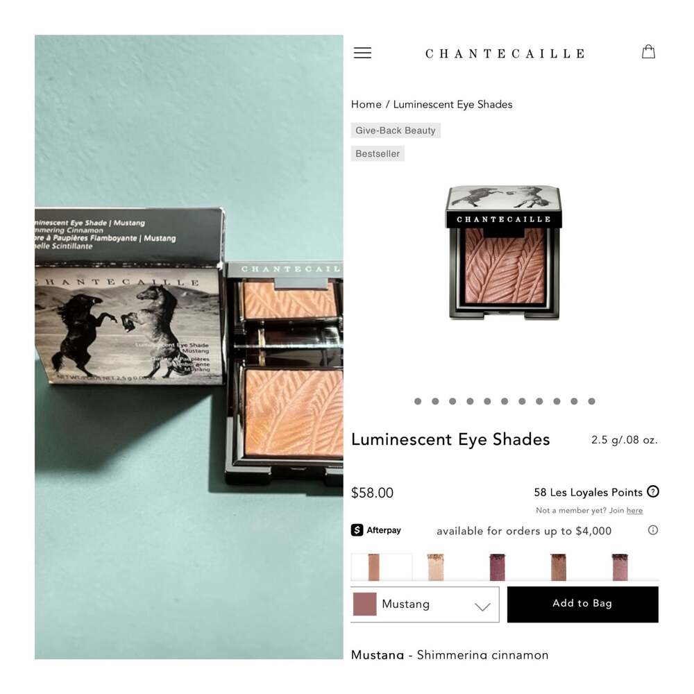 Chantecaille Luminescent Eye Shade in Mustang (Shimmering Cinnamon)